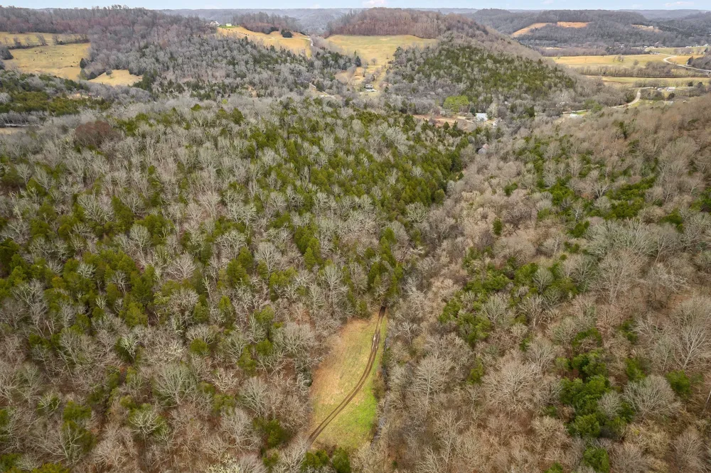 0 Lancaster Hwy Hickman, TN 38567
