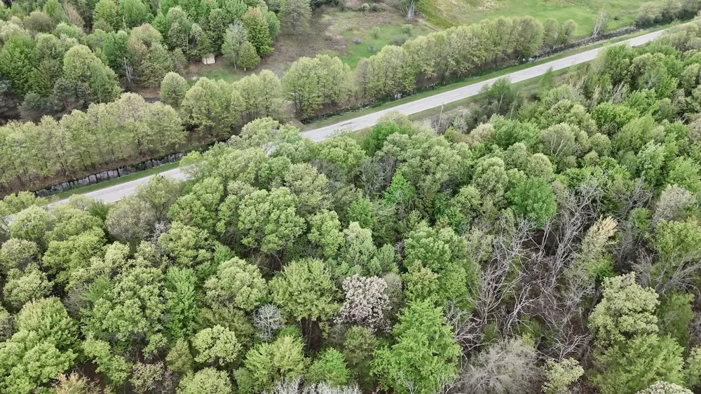 Magruder Road Coleman, MI 48618