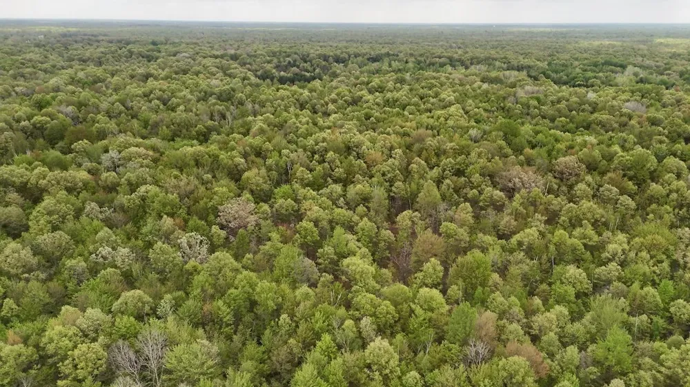 Magruder Road Coleman, MI 48618