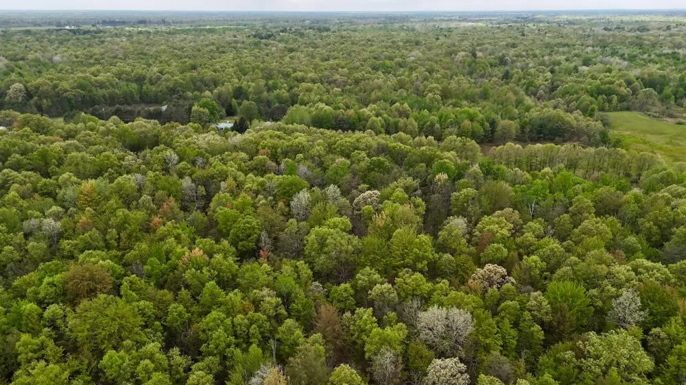 Magruder Road Coleman, MI 48618