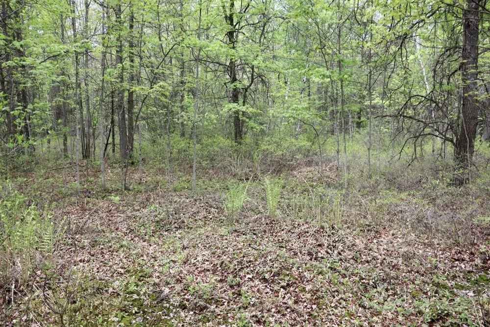 Magruder Road Coleman, MI 48618