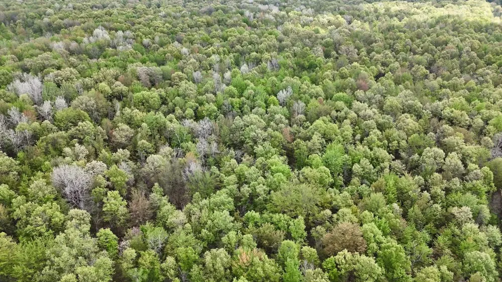 Magruder Road Coleman, MI 48618