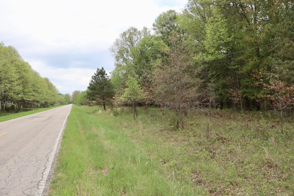 Magruder Road Coleman, MI 48618