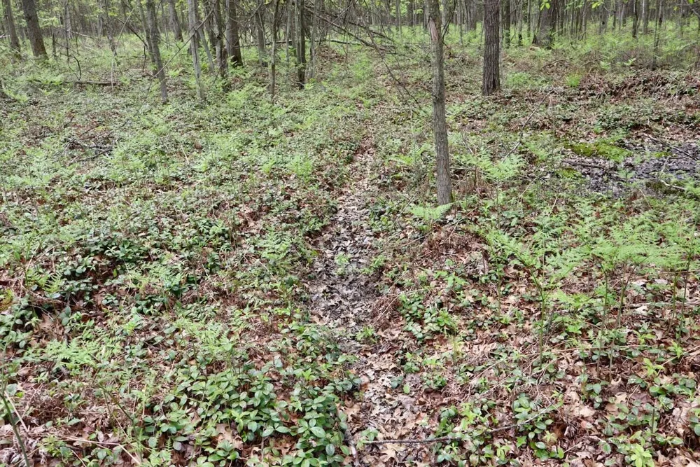 Magruder Road Coleman, MI 48618