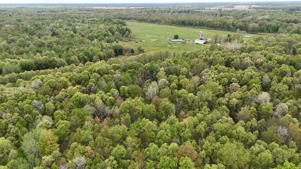 Magruder Road Coleman, MI 48618