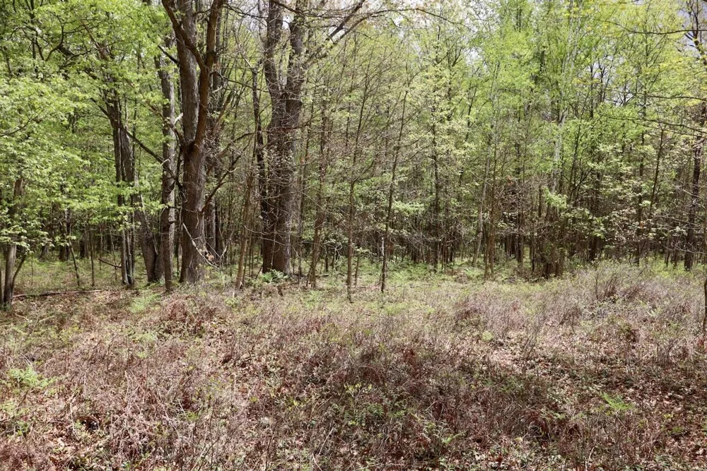 Magruder Road Coleman, MI 48618