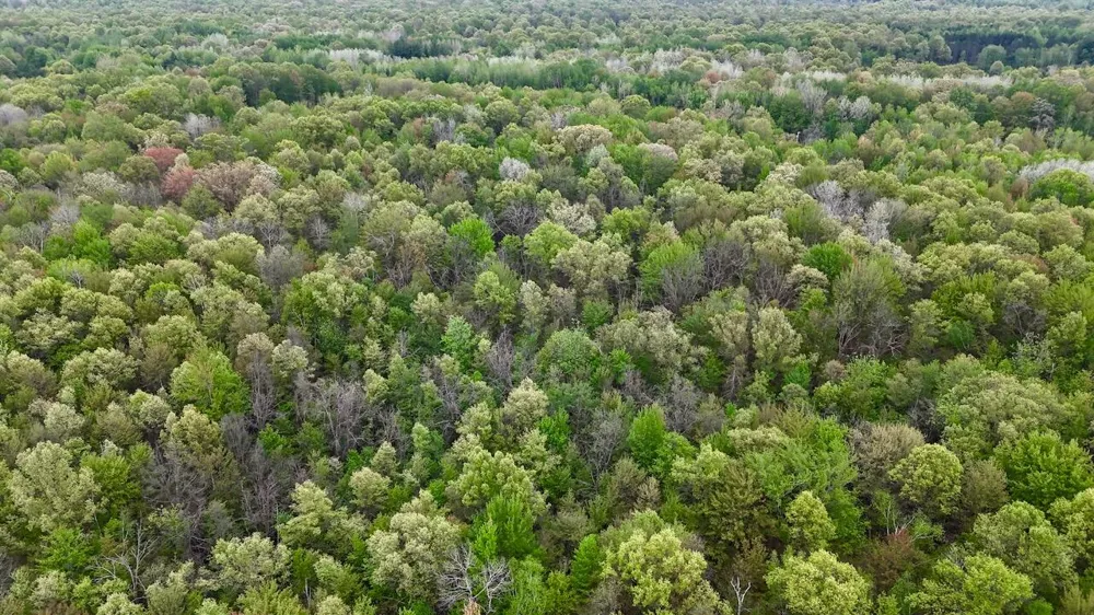 Magruder Road Coleman, MI 48618