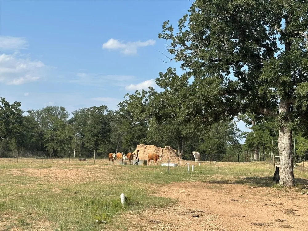 10096 S Us Highway 183 Highway Lockhart, TX 78644