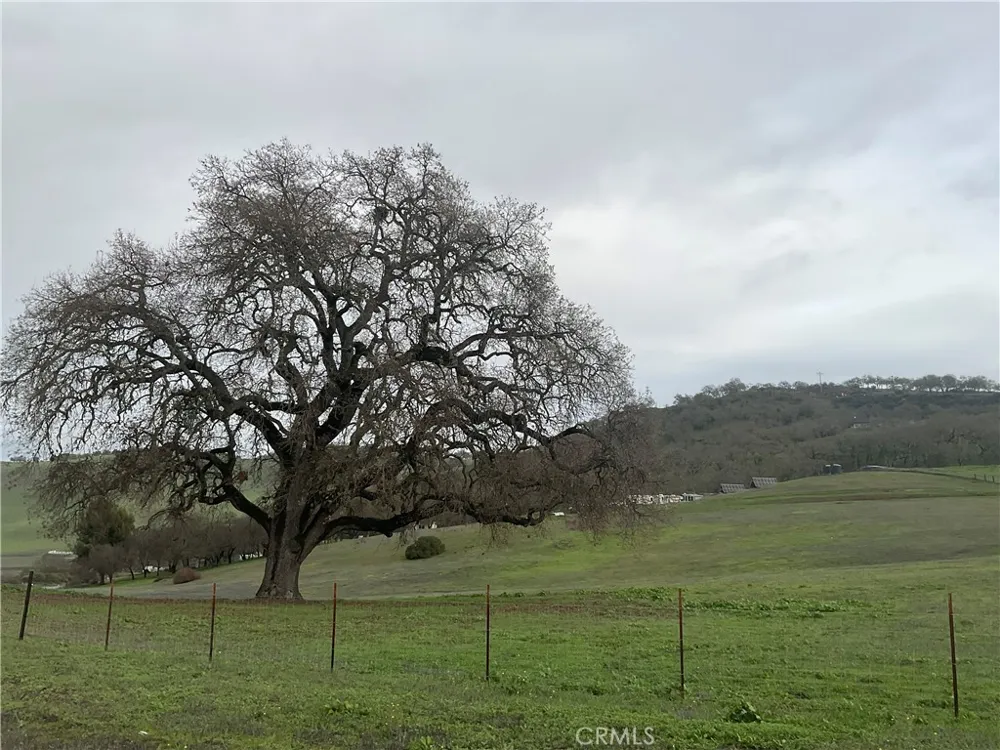 21 Interlake Road Bradley, CA 93426