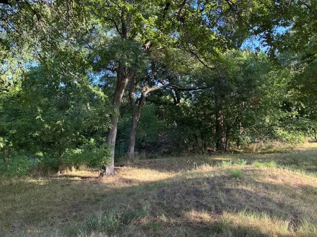 6009 President George Bush Highway Rowlett, TX 75089