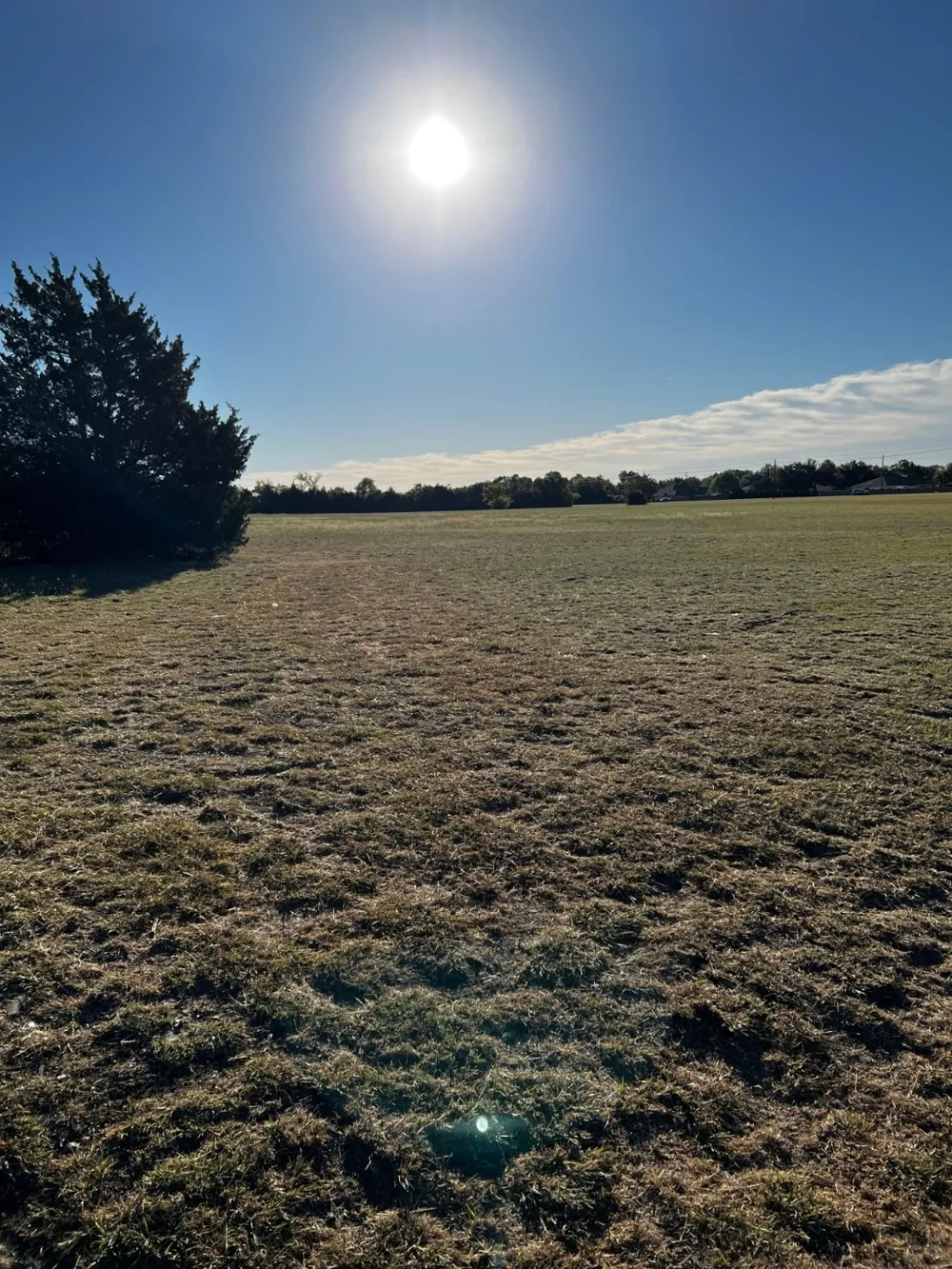 601 W Wintergreen Road DeSoto, TX 75115