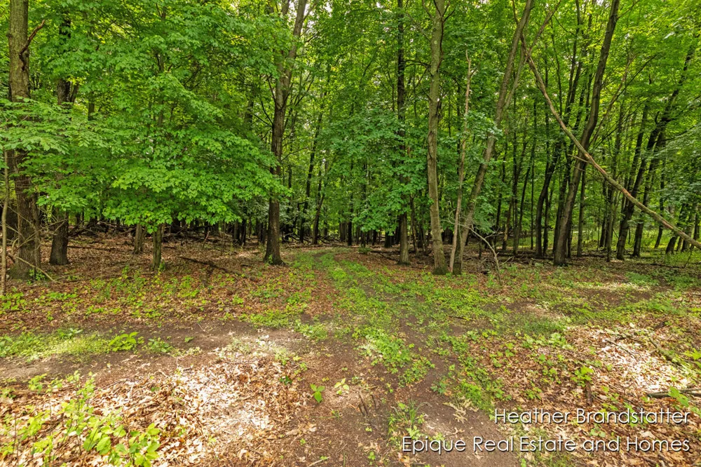 4327 Woodside Oaks Drive SE Kentwood, MI 49546