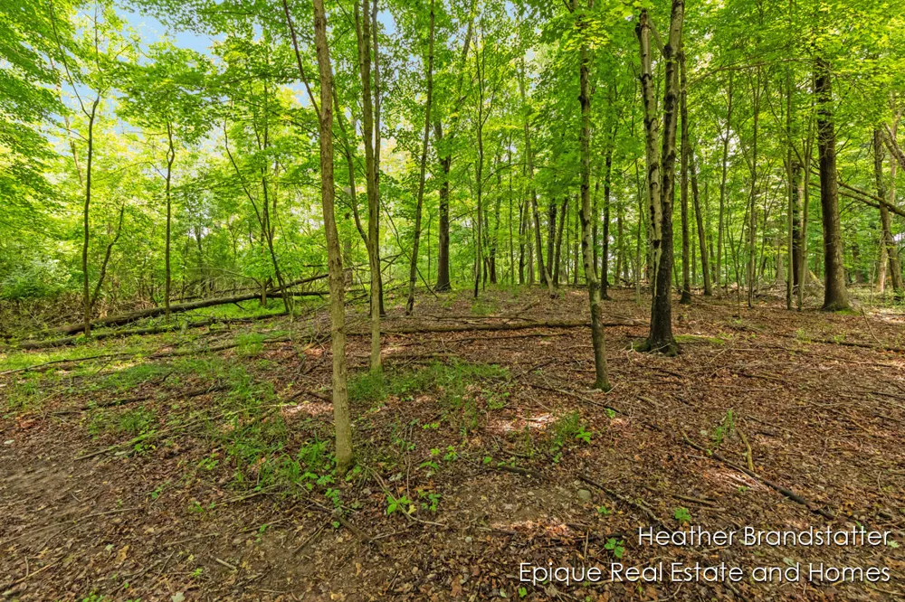 4327 Woodside Oaks Drive SE Kentwood, MI 49546