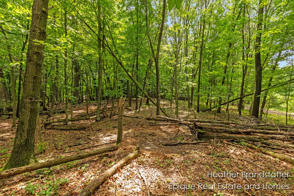 4327 Woodside Oaks Drive SE Kentwood, MI 49546