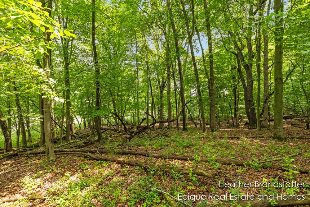 4327 Woodside Oaks Drive SE Kentwood, MI 49546