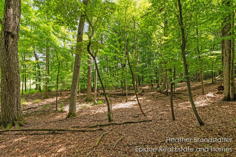 4327 Woodside Oaks Drive SE Kentwood, MI 49546