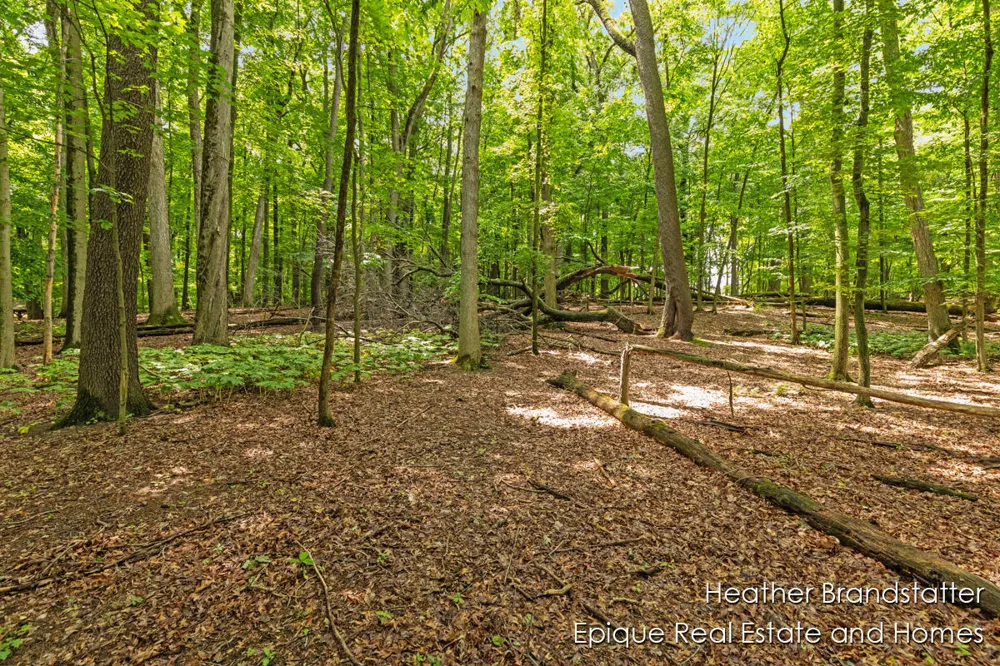 4327 Woodside Oaks Drive SE Kentwood, MI 49546