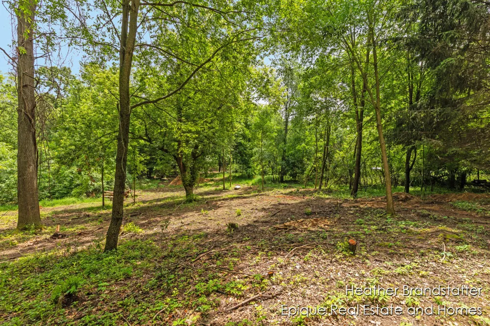 4323 Woodside Oaks Drive SE Grand Rapids, MI 49546