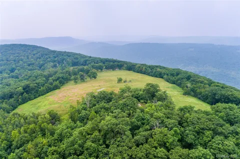 890 Bald Mountain Road