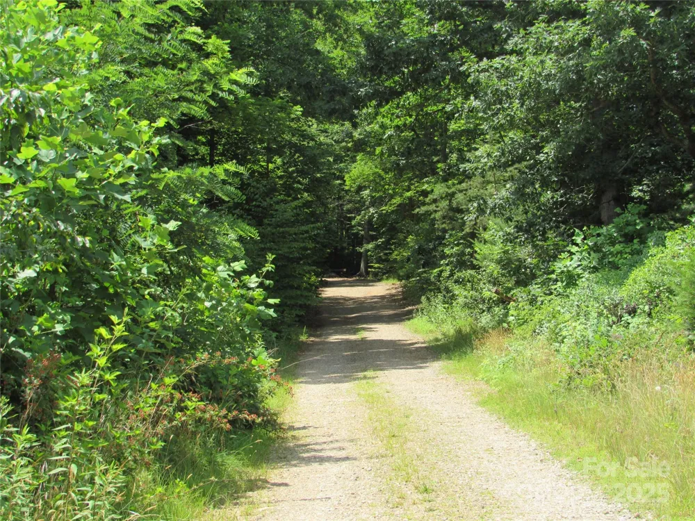 99999 Owen Valley Trail