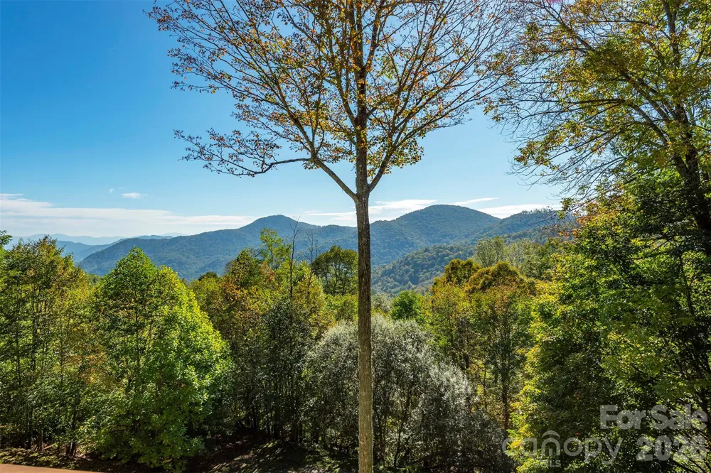 322 Goldenleaf Road Mars Hill, NC 28754