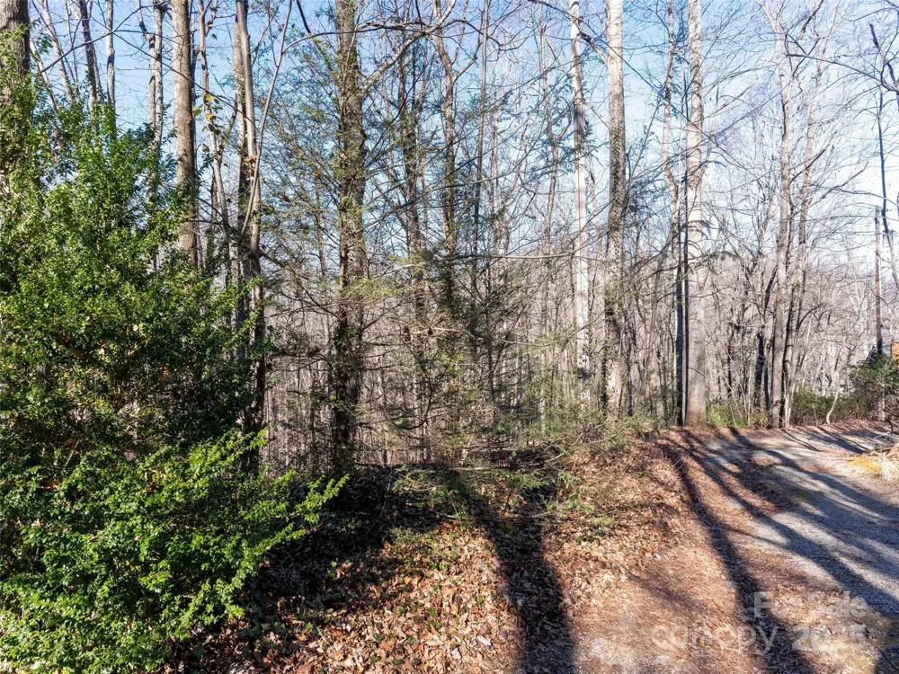 00 Mountain Page Road #17,18,19 Saluda, NC 28773