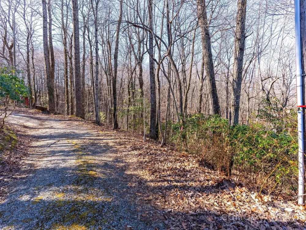 00 Mountain Page Road #17,18,19 Saluda, NC 28773