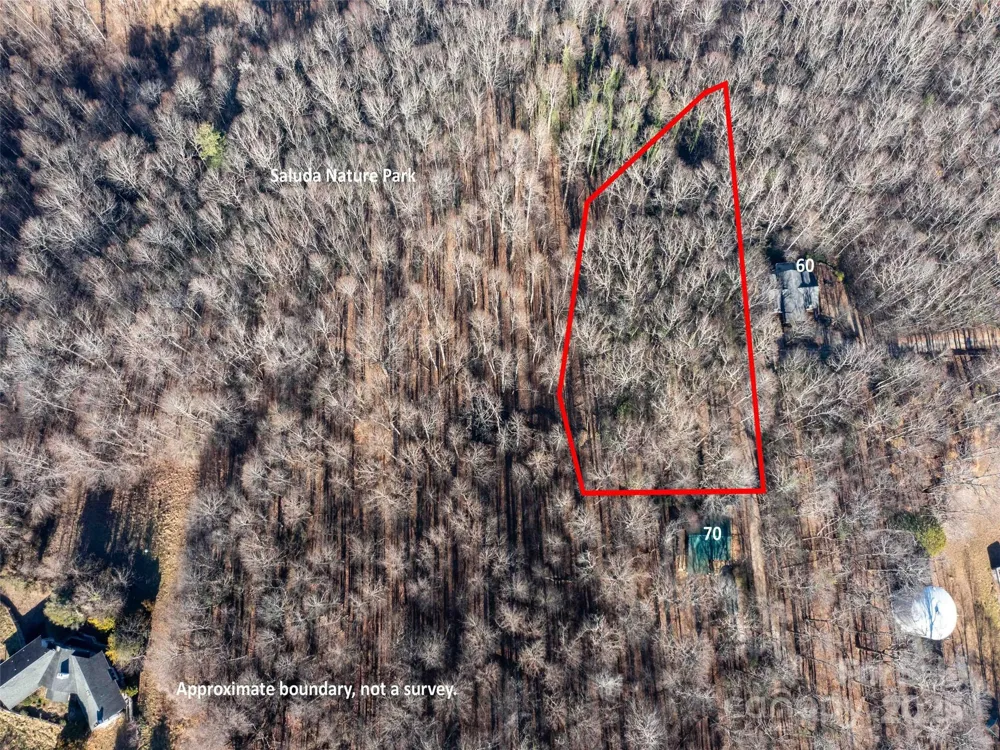 00 Mountain Page Road #17,18,19 Saluda, NC 28773