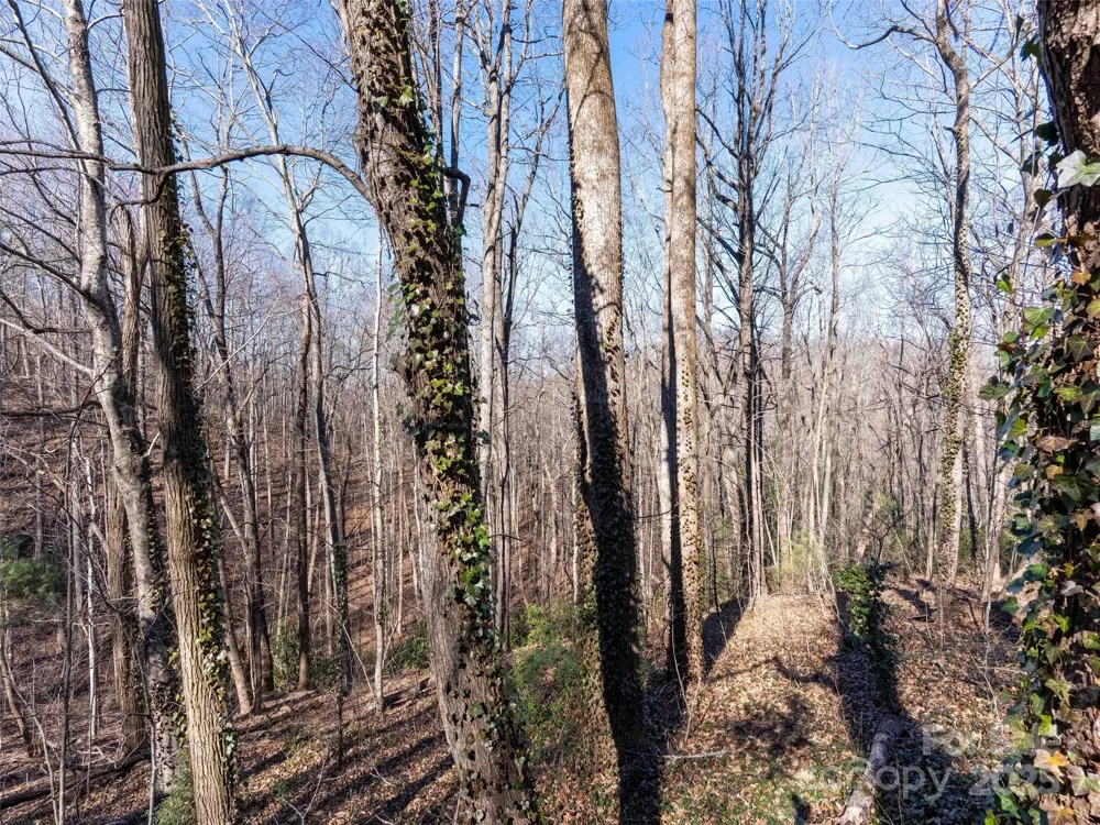 00 Mountain Page Road #17,18,19 Saluda, NC 28773