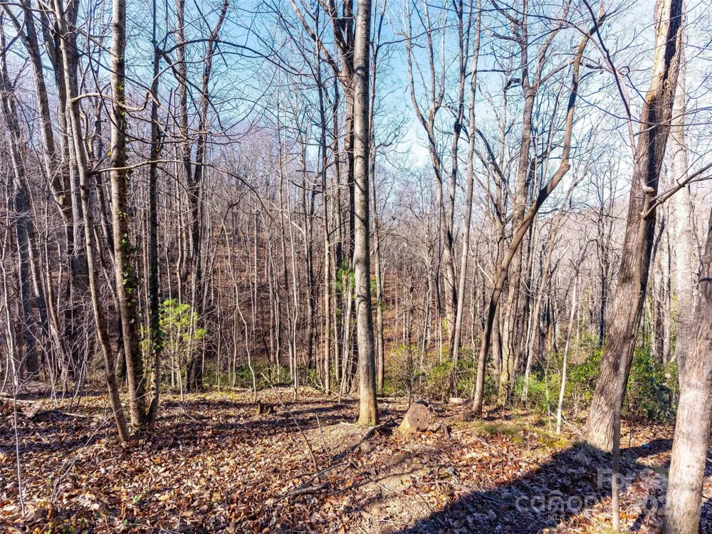 00 Mountain Page Road #17,18,19 Saluda, NC 28773