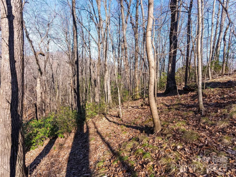 00 Mountain Page Road #17,18,19 Saluda, NC 28773