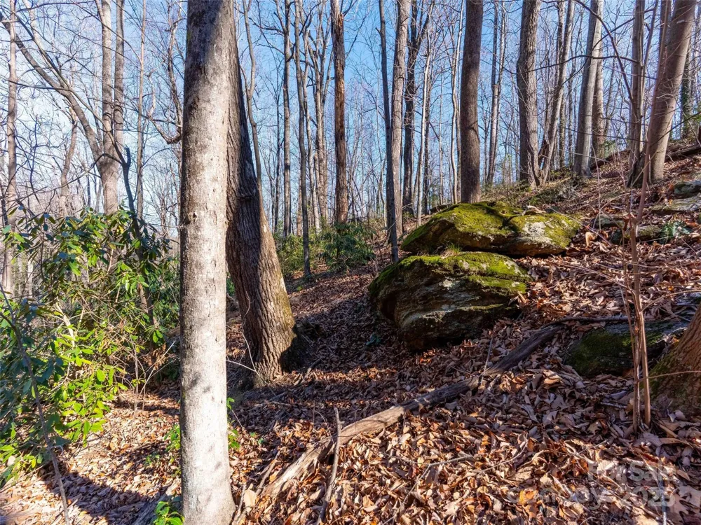 00 Mountain Page Road #17,18,19 Saluda, NC 28773
