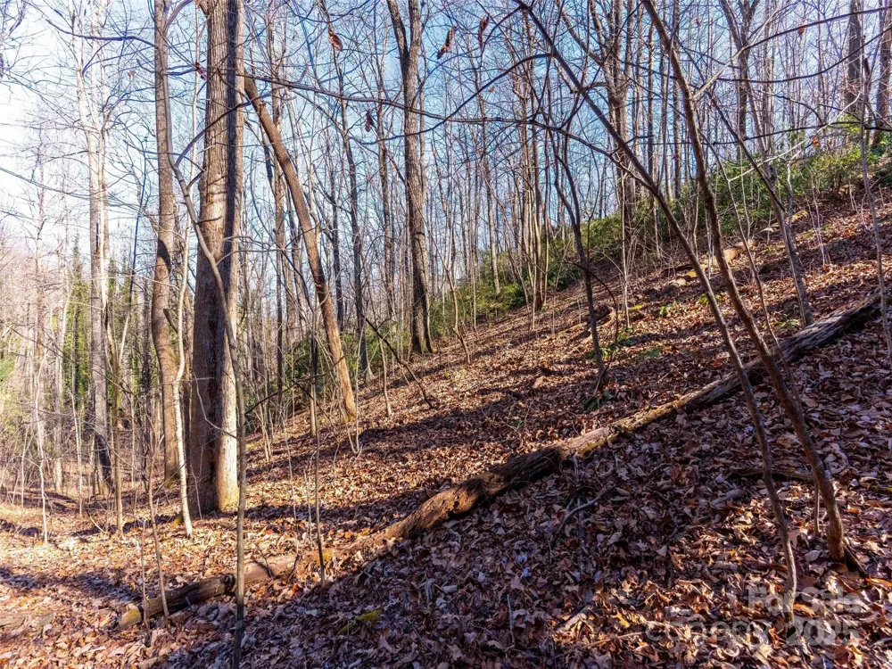 00 Mountain Page Road #17,18,19 Saluda, NC 28773