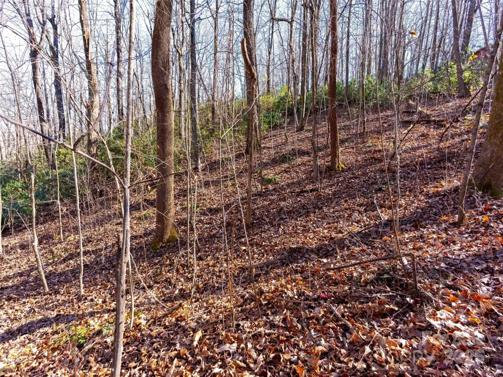 00 Mountain Page Road #17,18,19 Saluda, NC 28773