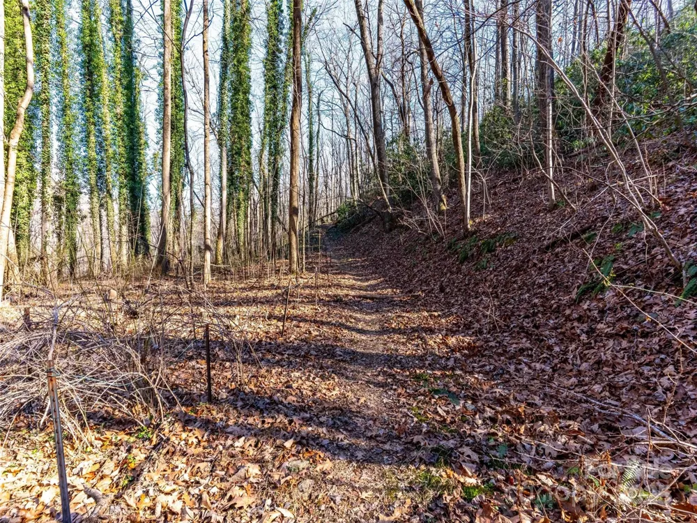 00 Mountain Page Road #17,18,19 Saluda, NC 28773