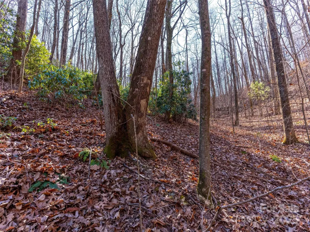 00 Mountain Page Road #17,18,19 Saluda, NC 28773