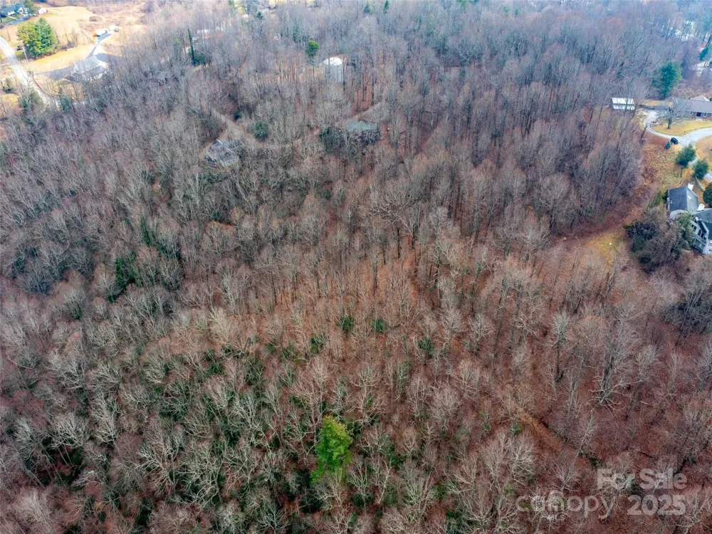 00 Mountain Page Road #17,18,19 Saluda, NC 28773