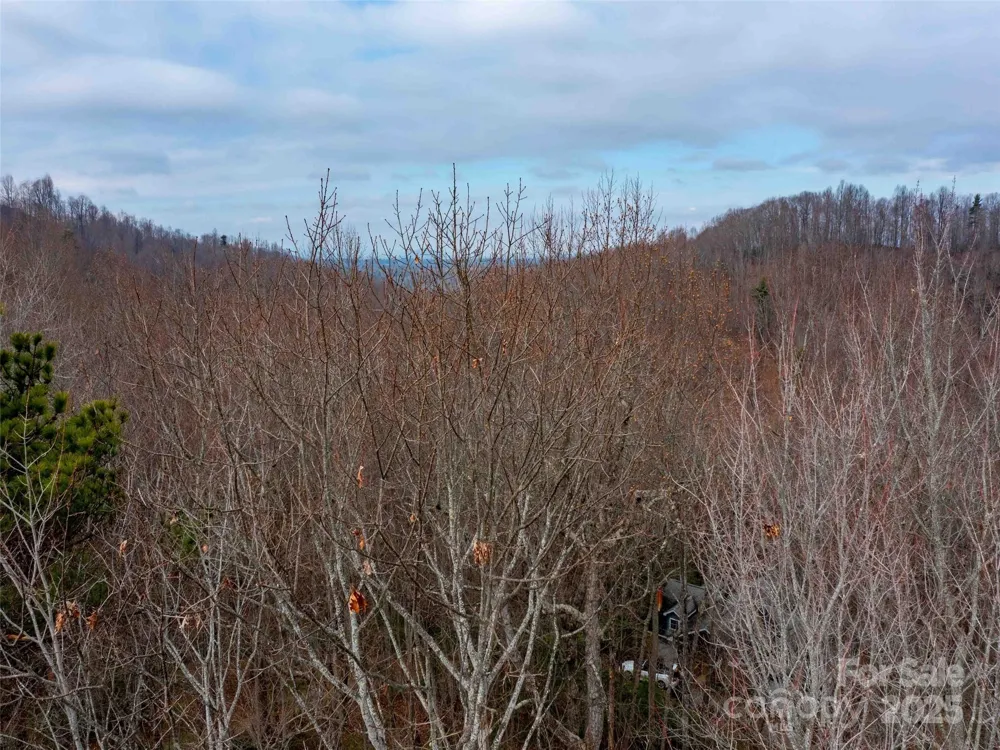 00 Mountain Page Road #17,18,19 Saluda, NC 28773