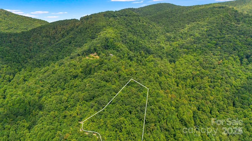 Lot 21 Cat Pen Branch Road Hot Springs, NC 28743