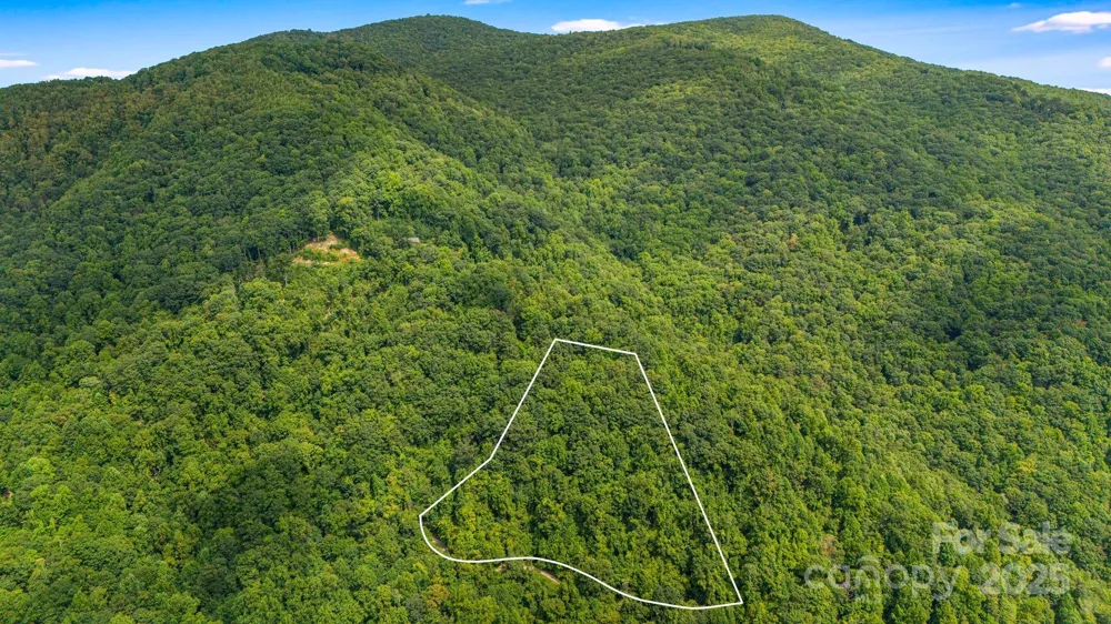 Lot 21 Cat Pen Branch Road Hot Springs, NC 28743