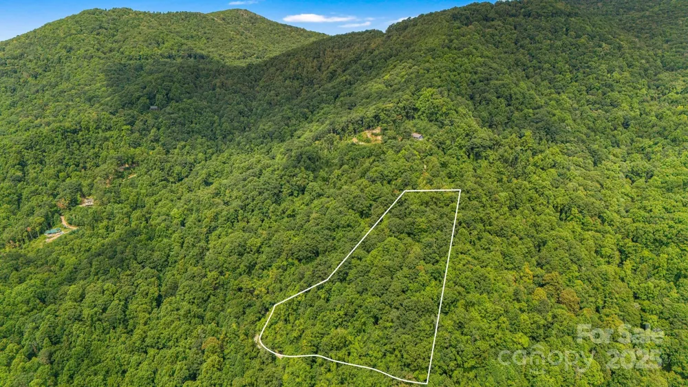 Lot 21 Cat Pen Branch Road Hot Springs, NC 28743