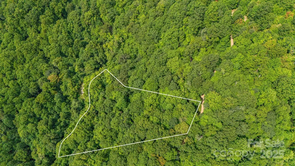 Lot 21 Cat Pen Branch Road Hot Springs, NC 28743