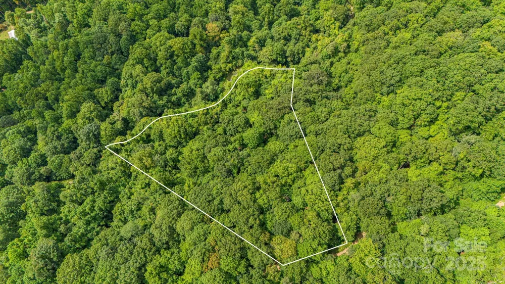 Lot 21 Cat Pen Branch Road Hot Springs, NC 28743
