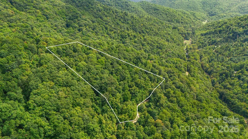Lot 21 Cat Pen Branch Road Hot Springs, NC 28743
