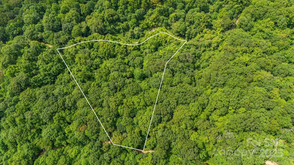 Lot 21 Cat Pen Branch Road Hot Springs, NC 28743