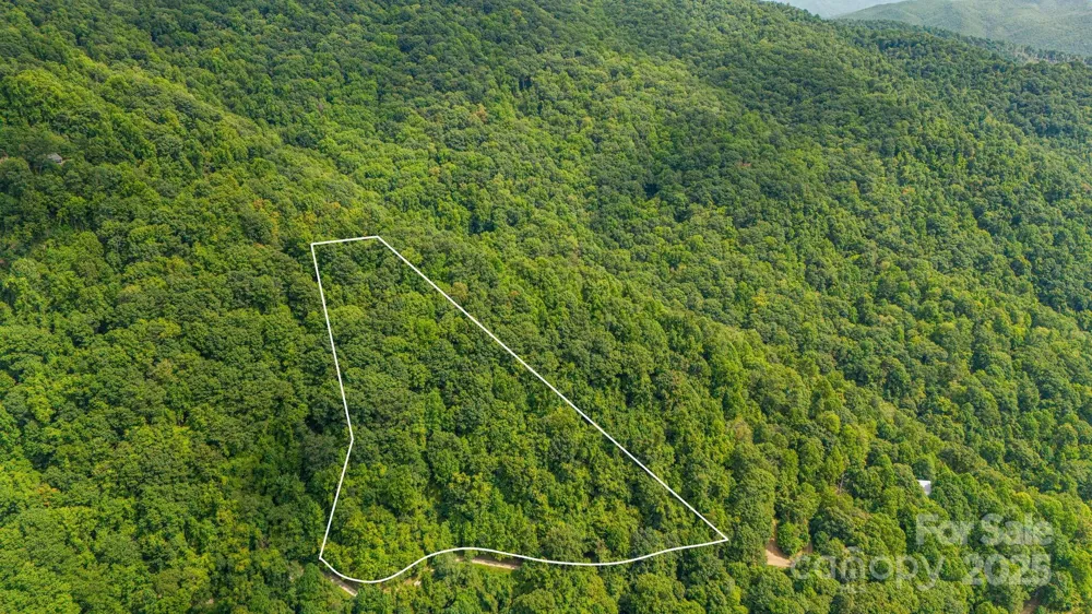 Lot 21 Cat Pen Branch Road Hot Springs, NC 28743