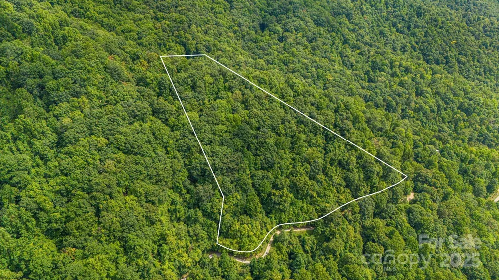 Lot 21 Cat Pen Branch Road Hot Springs, NC 28743