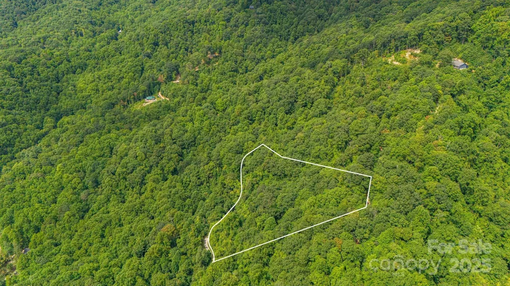 Lot 21 Cat Pen Branch Road Hot Springs, NC 28743