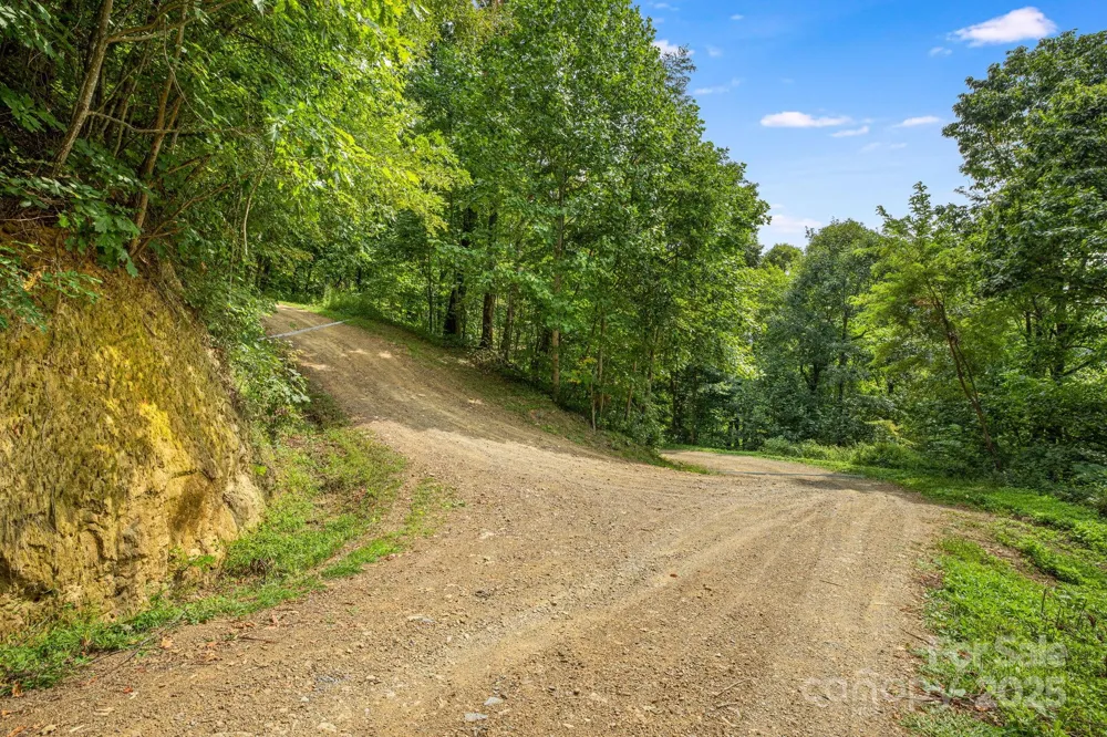 Lot 21 Cat Pen Branch Road Hot Springs, NC 28743