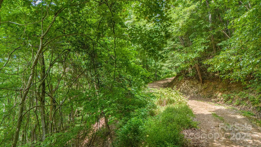 Lot 21 Cat Pen Branch Road Hot Springs, NC 28743